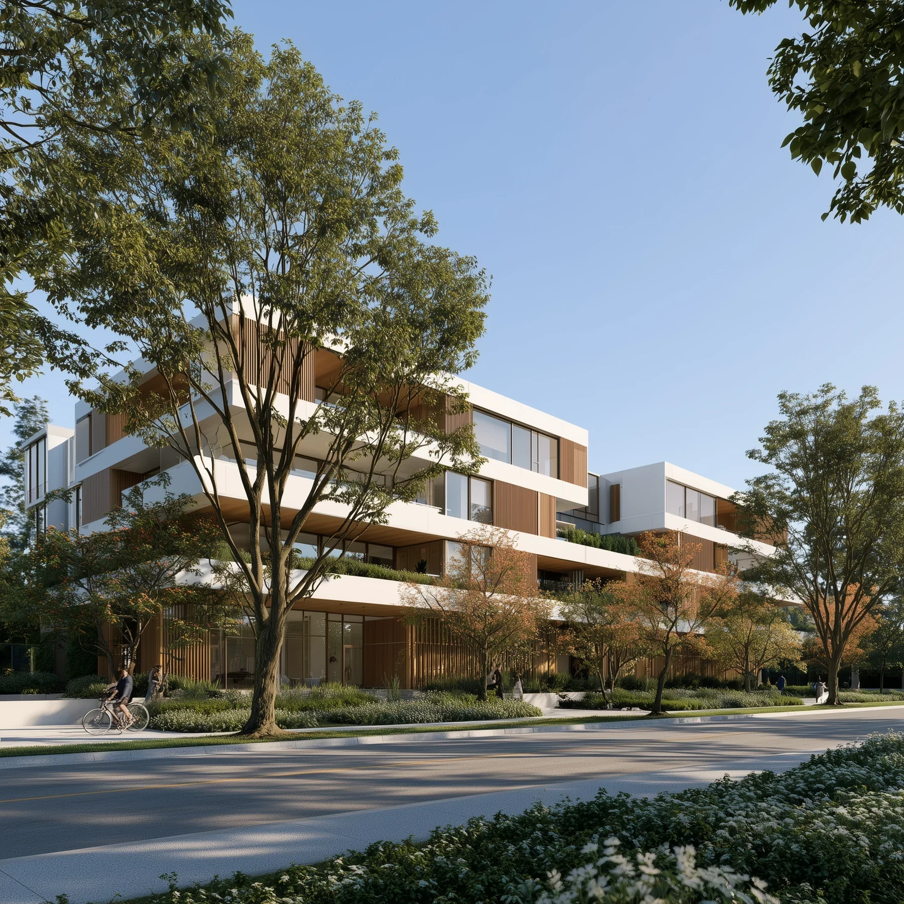 Low Horizontal Multifamily Timber So